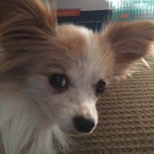 Meet your Posher, Cindy